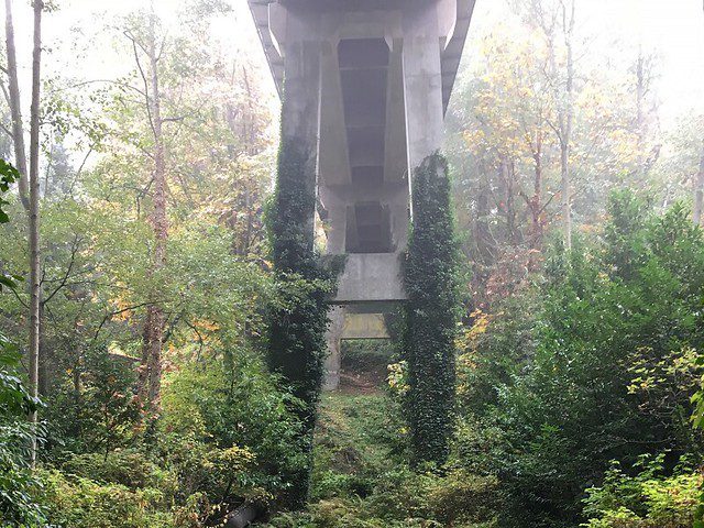 A tall concrete bridge structure stands amidst trees and greenery on a partially foggy day.