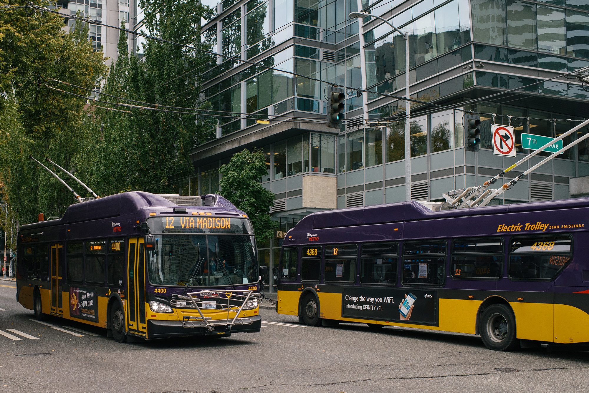 Two purple and yellow buses pass by each other, with large buildings and trees in the background on a cloudy day.