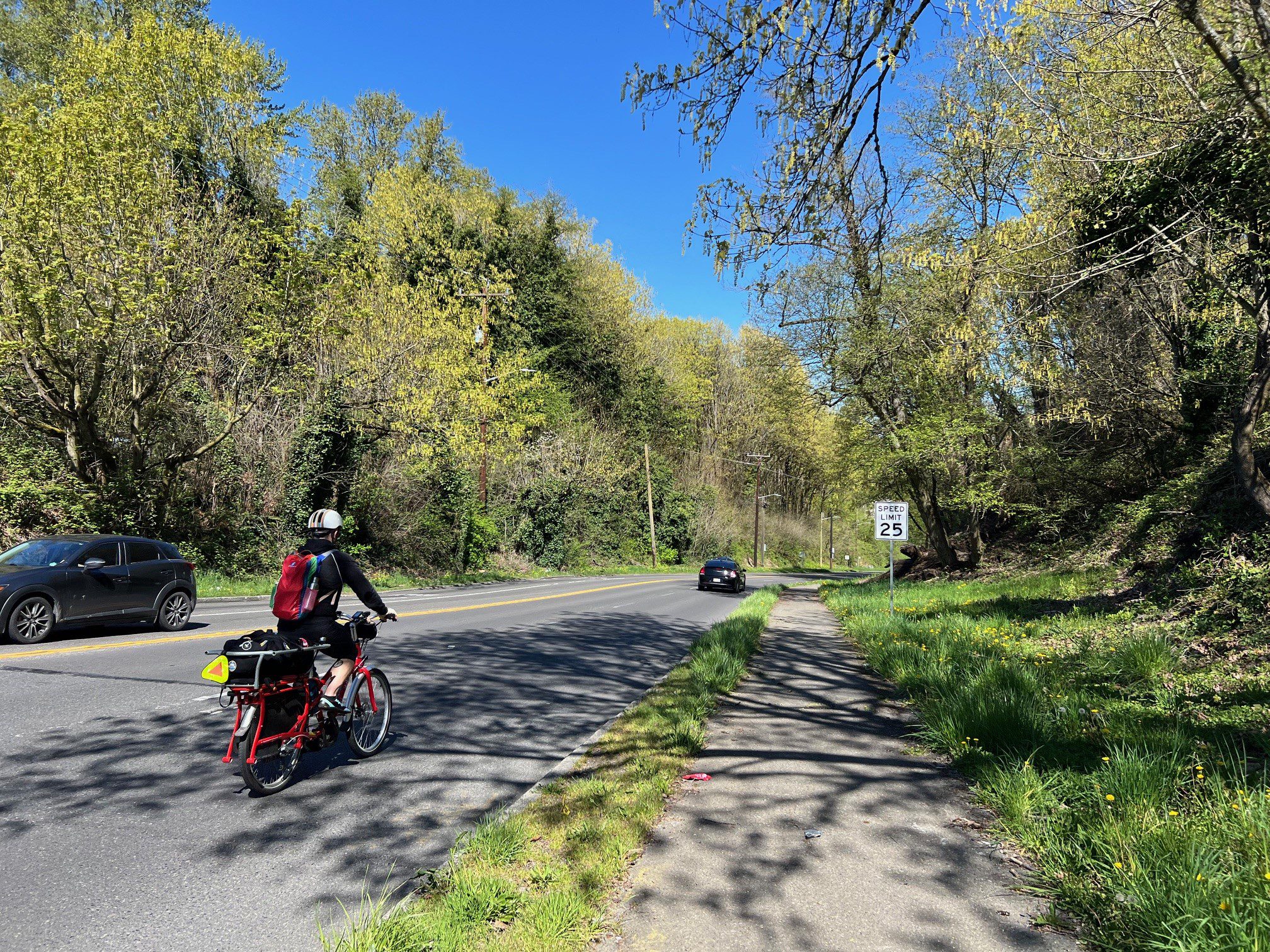 A person bikes on a street with large trees in the background on a sunny day.