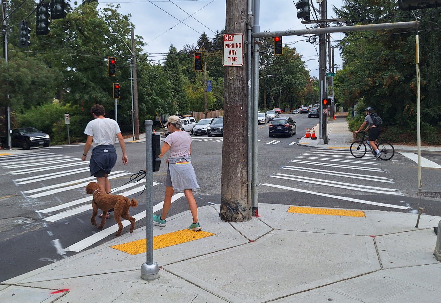 Man and women crossing to the left of an intersection. Women holding a black leash to a brown medium sized dog. A biker turns right at the intersection. Trees surround the intersection.