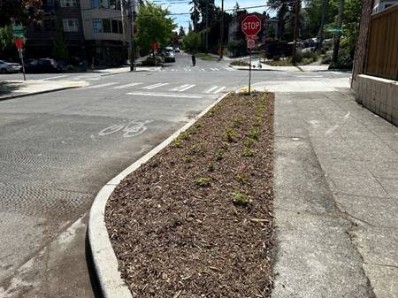 After improvements at 2nd Ave NE and Woodlawn Ave NE in the Green Lake neighborhood, which included a concrete bulb that prevents parking within 30 feet of the stop sign.