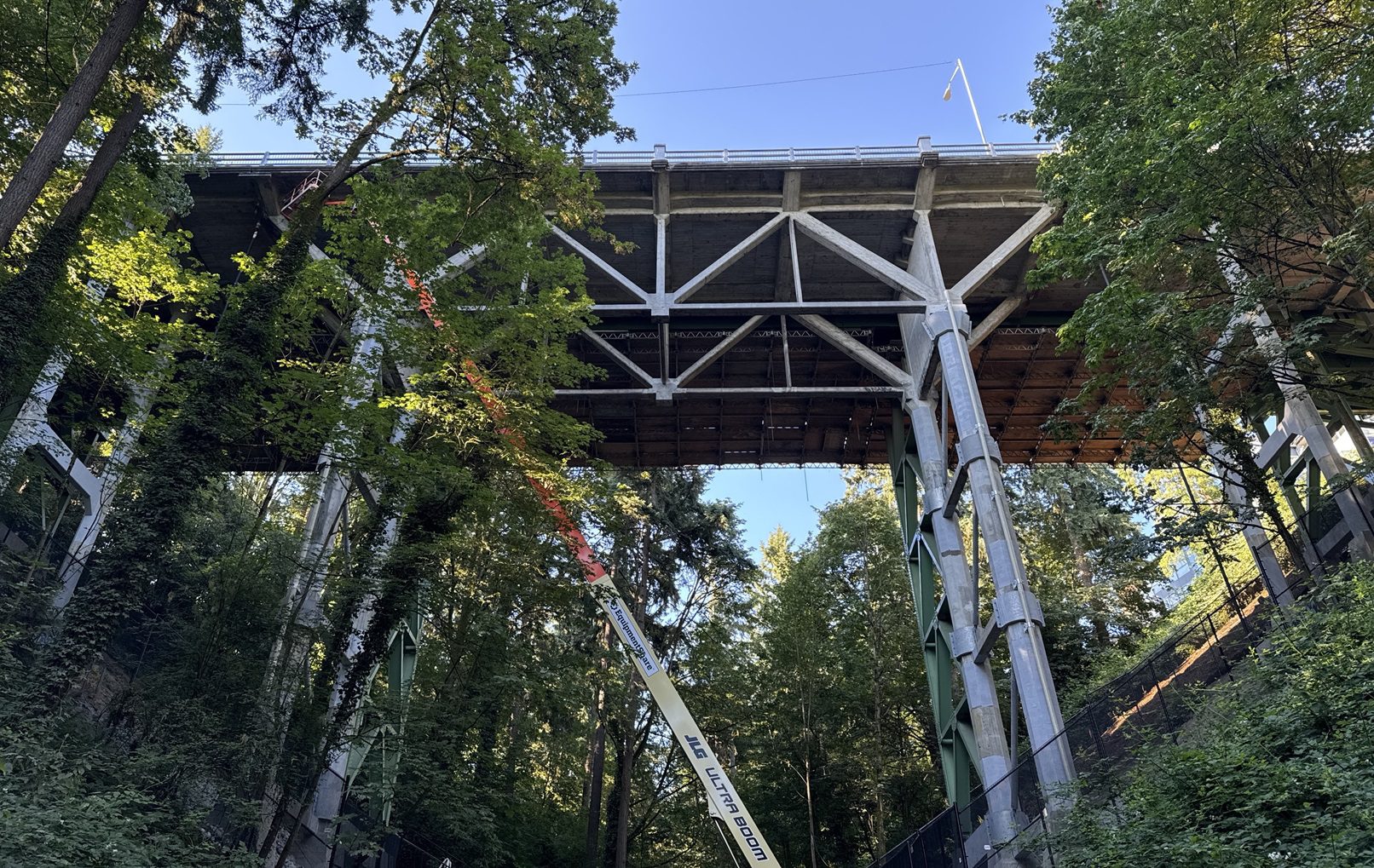 View of a large bridge, looking up with blue skies in the background and large trees nearby.