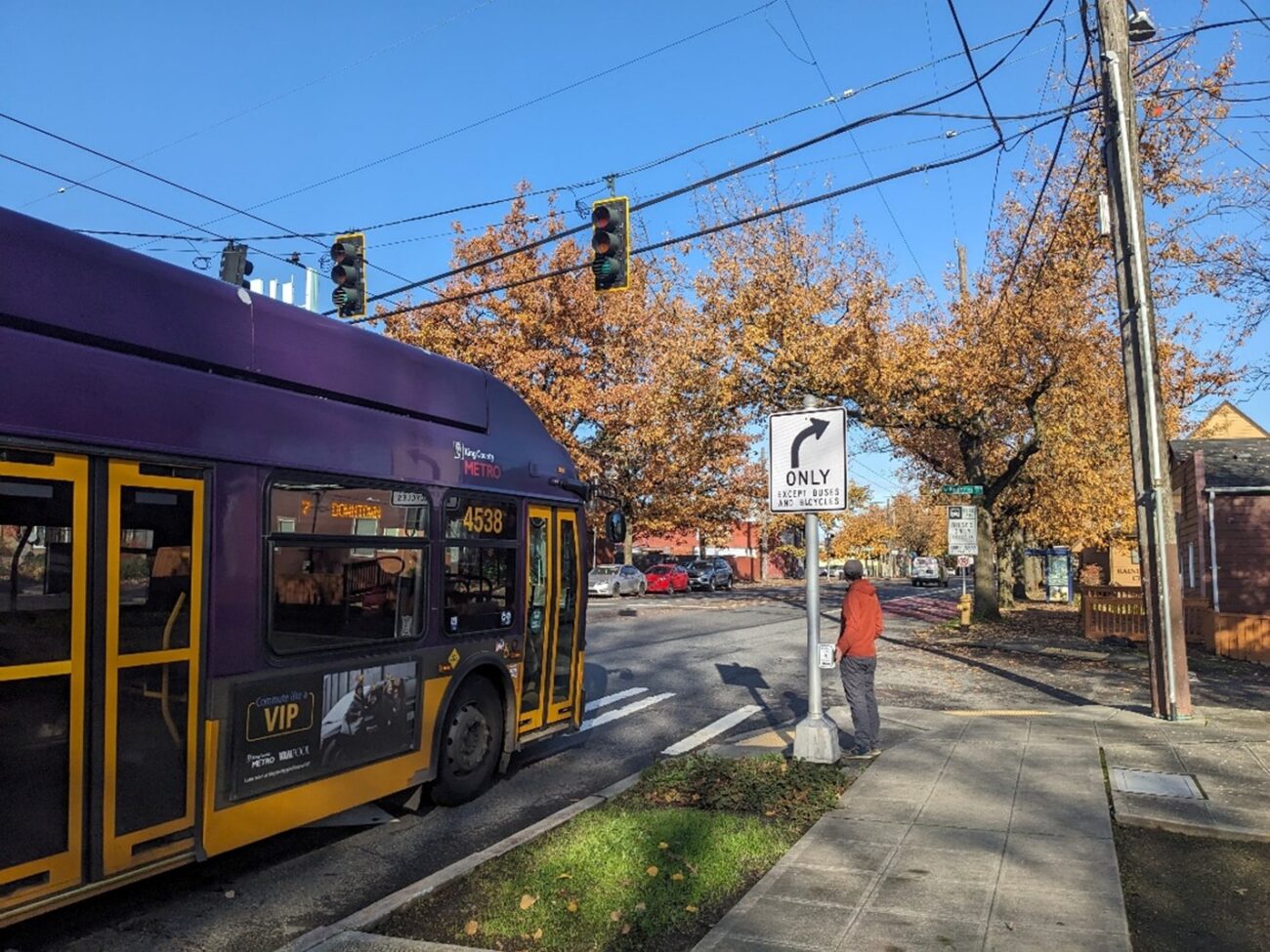A person wearing an orange jacket waits at a marked crosswalk while a purple and orange bus travels in a bus lane next to the curb, on a sunny fall day.
