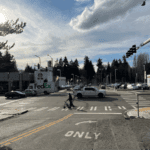 A person crosses the street at a marked crosswalk as several cars travel by on the street. Large trees and clouds are in the background.