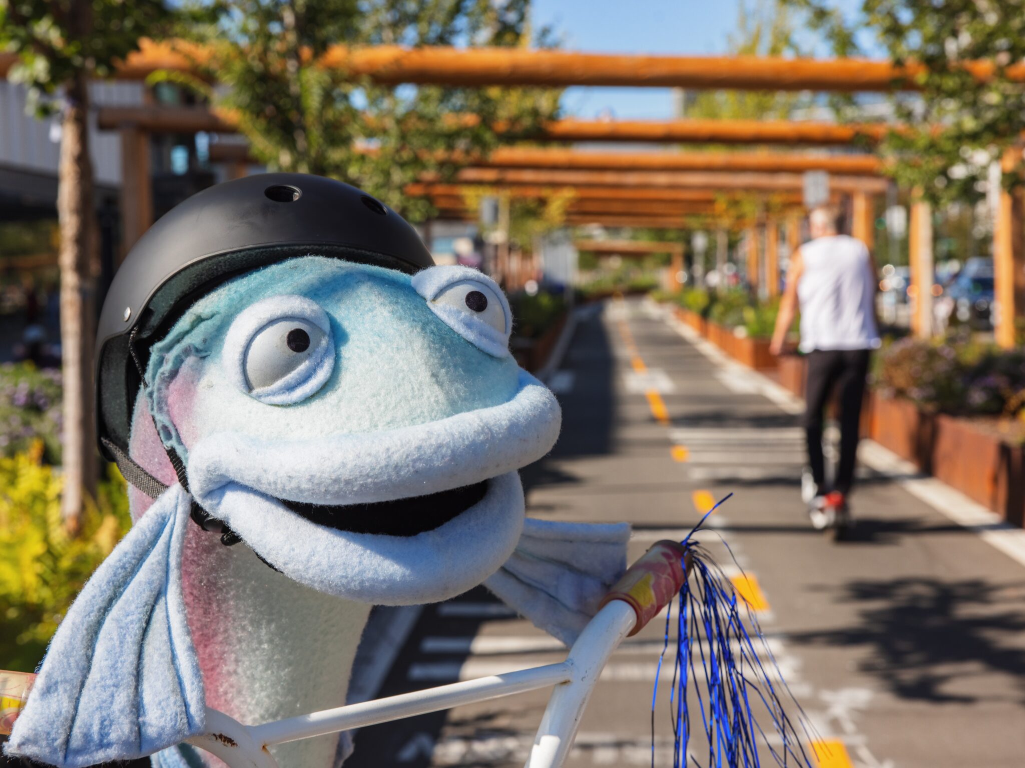 A blue fish puppet wearing a bicycle helmet smiles in the foreground. She is on a bike. Blue ribbons are attached to the handlebars. In the background, a person in a white shirt rides a scooter inside a protected bike lane. There are lots of plants.