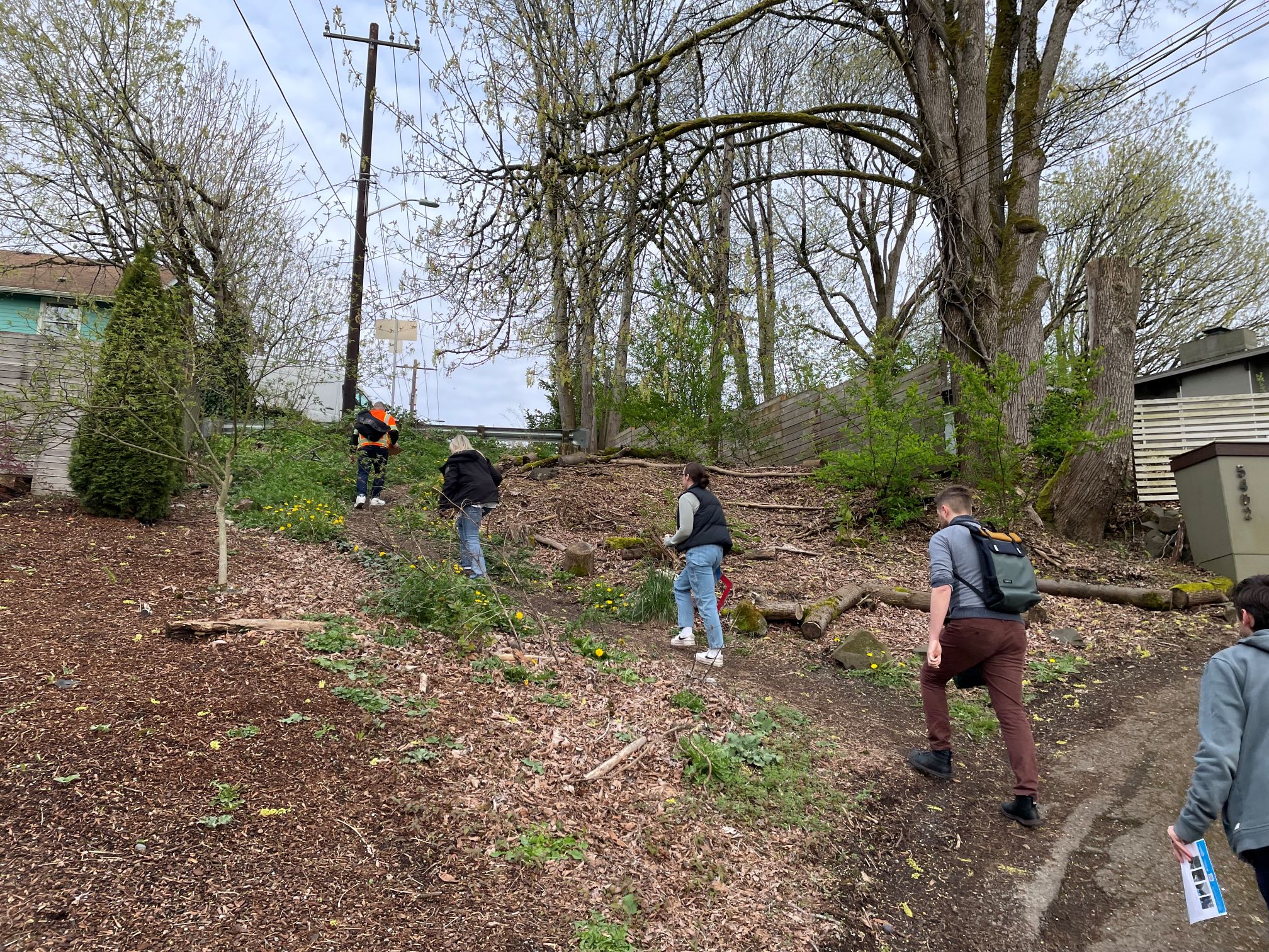 A group of five people is walking up a steep, wooded embankment covered in dirt, wood chips, and scattered logs, heading toward a road at the top. One person in a bright orange safety vest leads the way, while another holds a map or flyer. The setting features large trees.