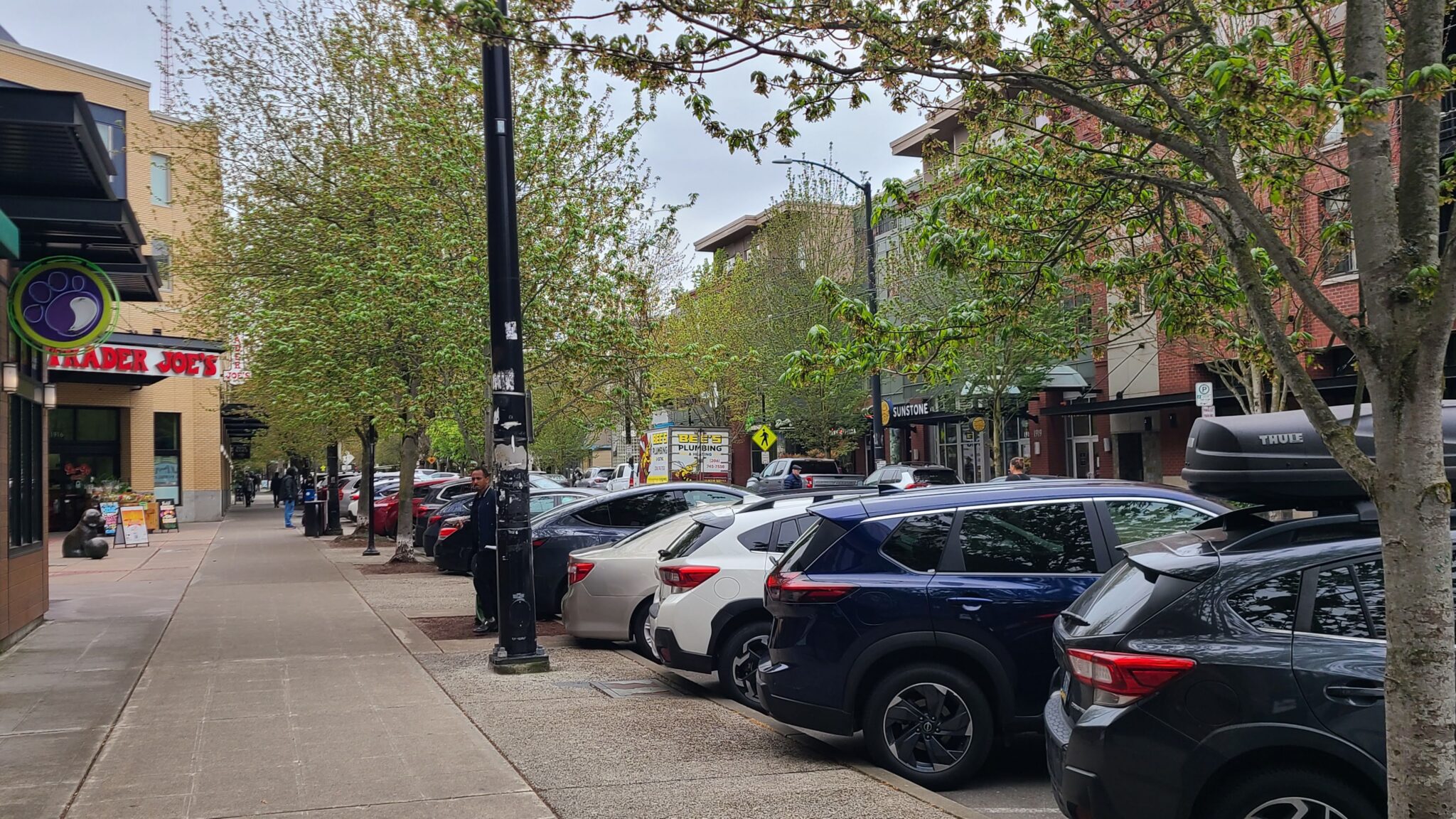 Overcast neighborhood shopping street with angled parked cars, leafy trees, and a Trader Joe’s storefront along a busy urban block.