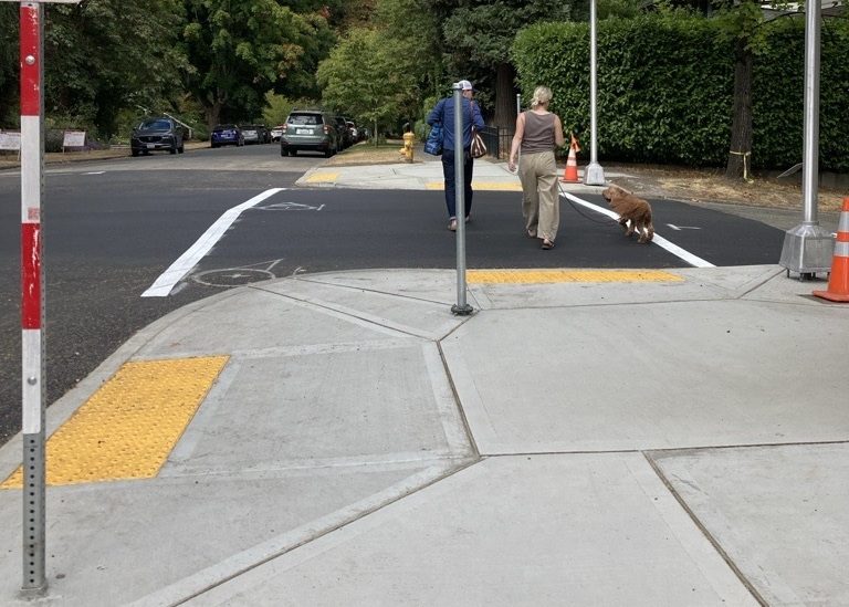Two people cross the street at a marked crosswalk with their dog. Sidewalks, curb ramps, parked cars, and trees are in the image as well.