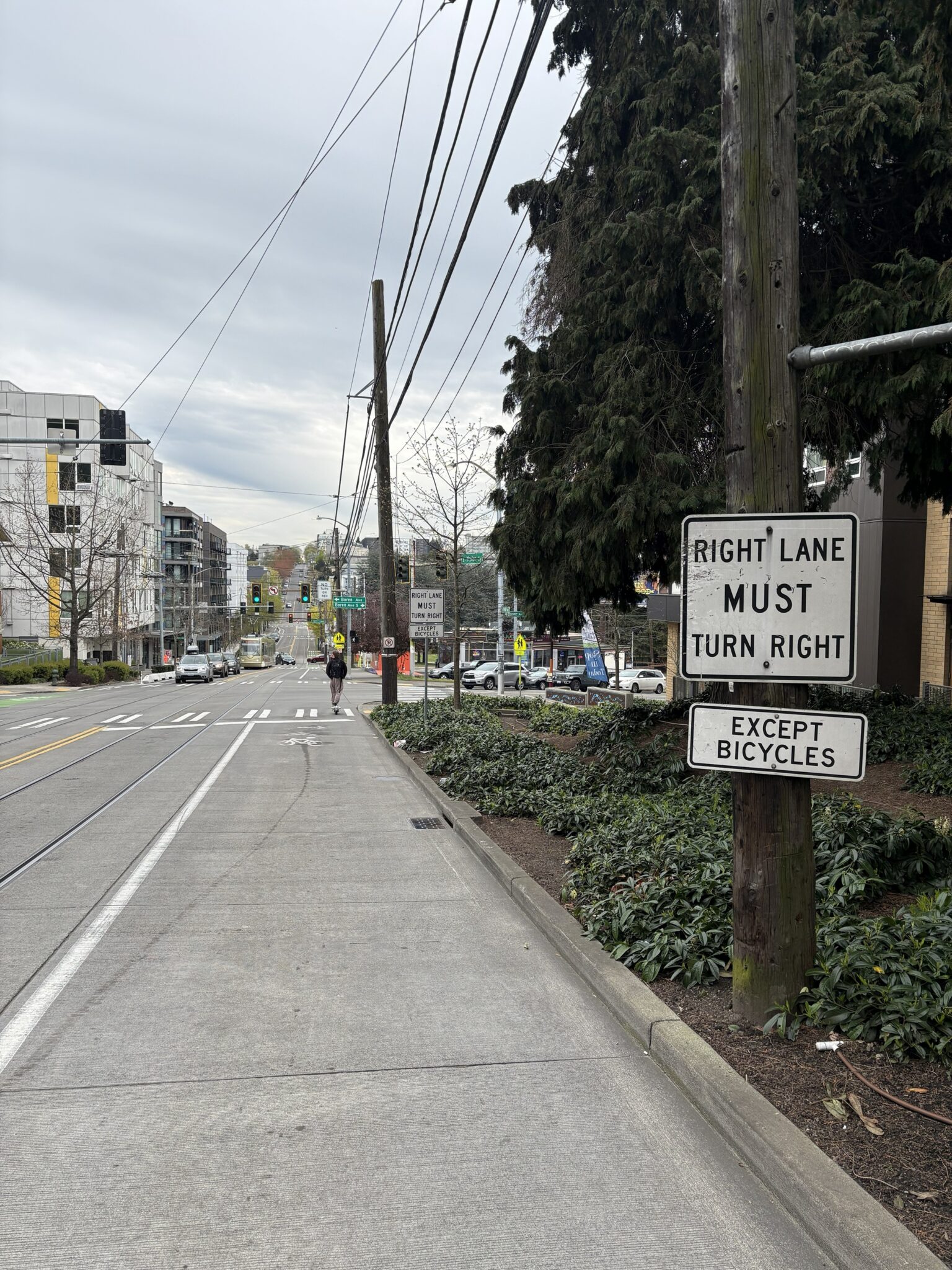 A view of the street and buildings, trees, shrubs, and a sign that reads Right Lane Must Turn Right, Except Bicycles.
