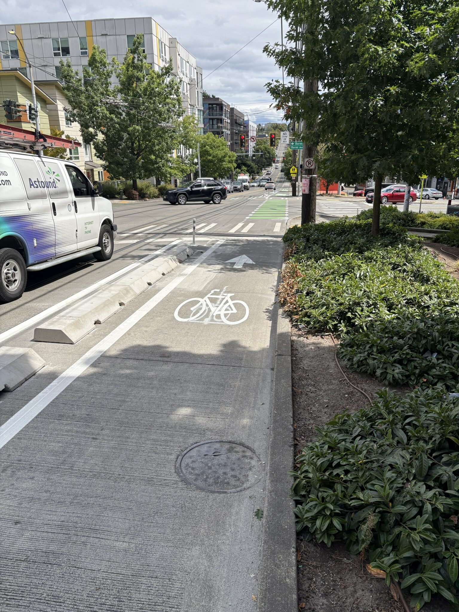 A protected bike lane in the middle of the image with cars and a work truck in the background, as well as trees, shrubs, and buildings.
