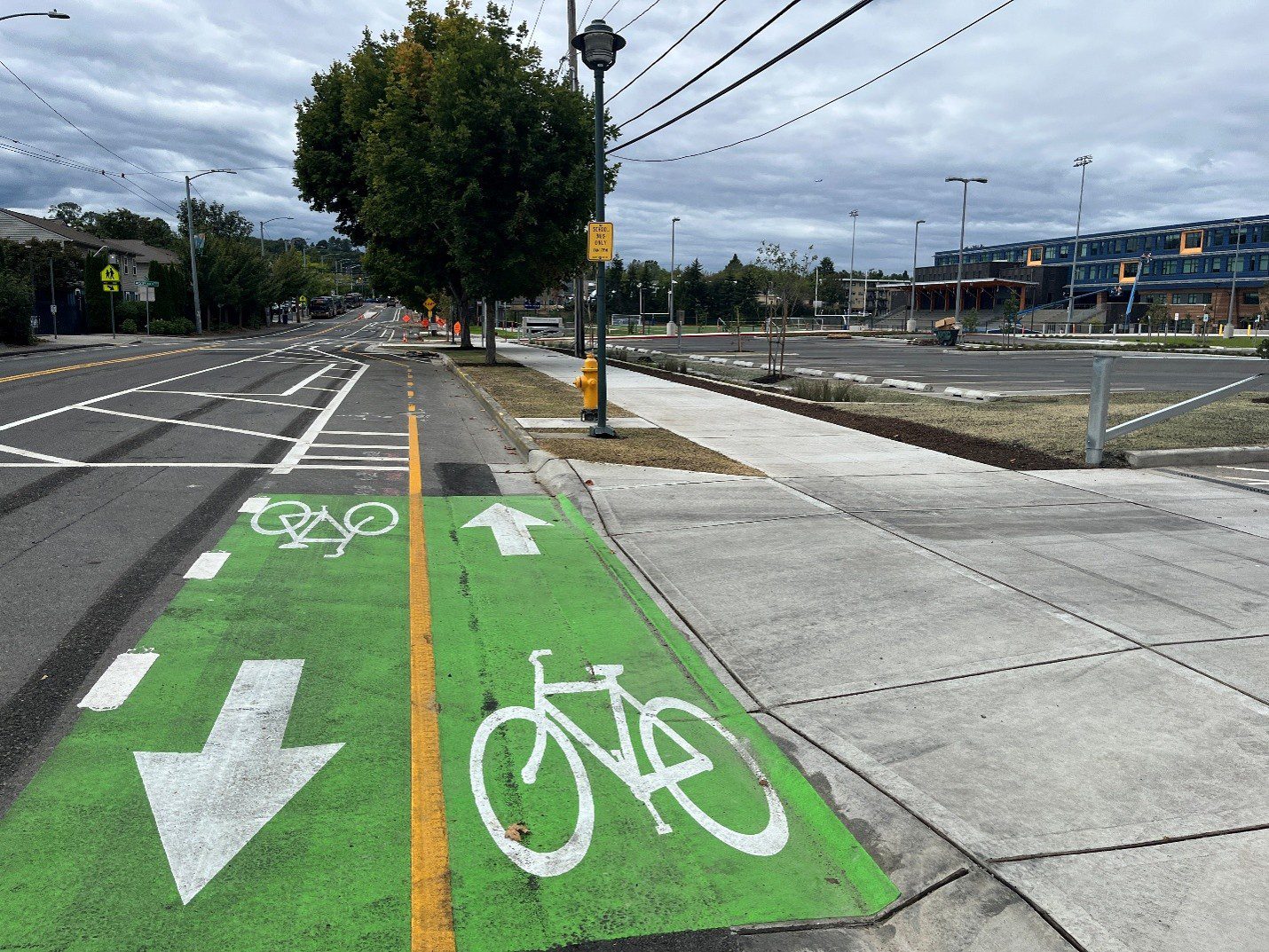 A protected bike lane in front of a large school. Green paint marks where the bike lane travels in front of an entrance to the school. A large tree is in the background as well as a parking lot.