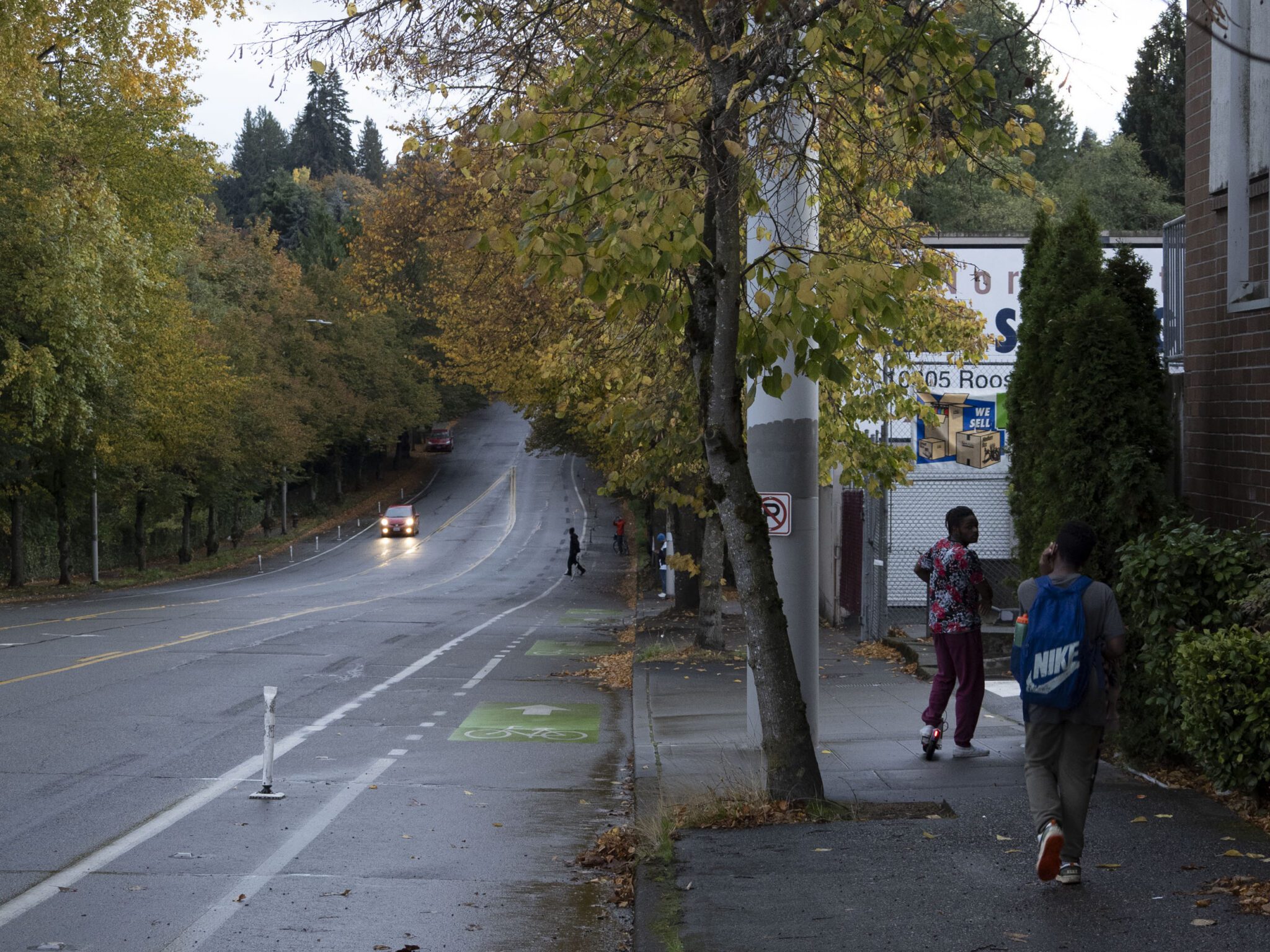 A wet road curves uphill on an overcast day, flanked by dense trees with yellow, green and orange leaves that form a canopy overhead. On the right sidewalk, two people walk on the sidewalk. A green-painted bike lane with white bicycle stencils runs along the right side of the road.