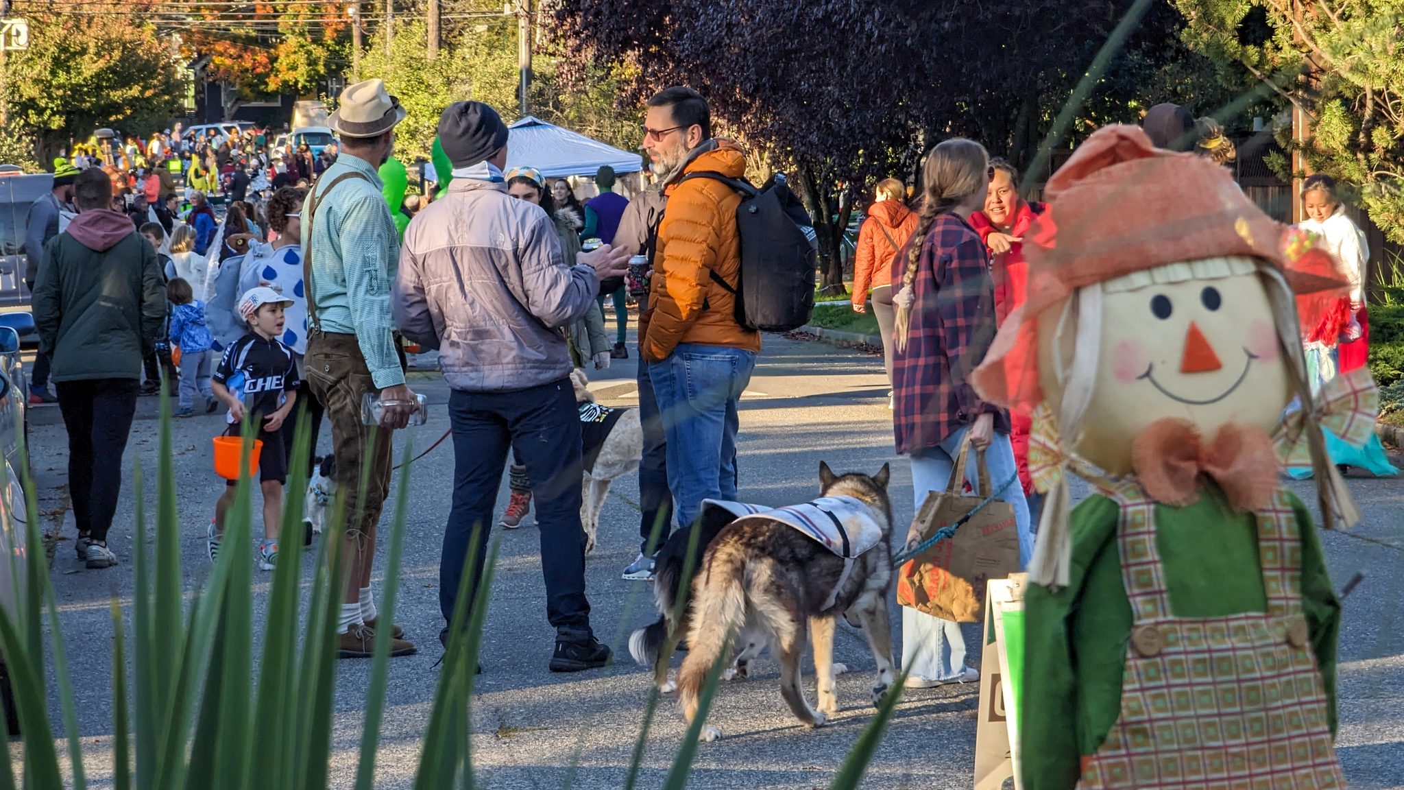 A large group of people gather on a closed street on a sunny fall day.
