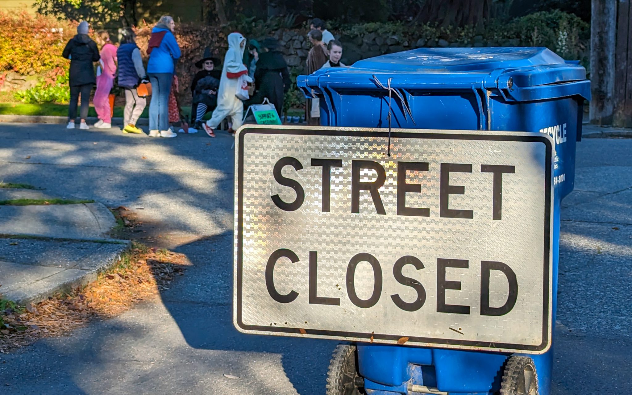 A large sign that says Street Closed, posted onto a blue recycling bin. People are in the background in costumes.